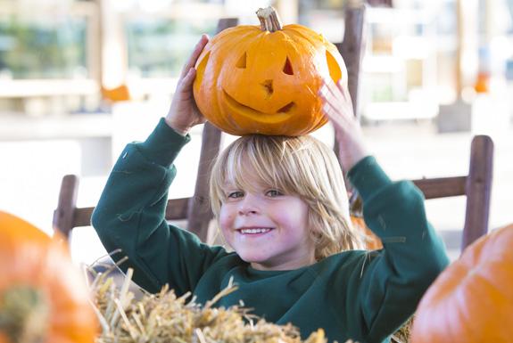 Halloween | Klein Vink