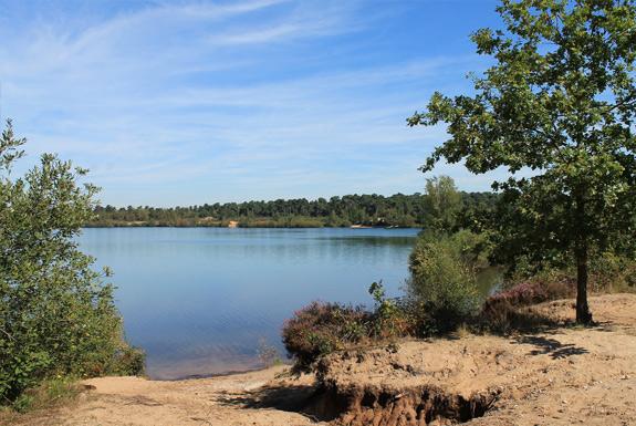 Nationale Parken Nederland uitjes & wandelen - Reisliefde